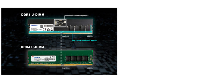ADATA Premier 32GB 4800MHz DDR5 Memory - Best Deal - South Africa
