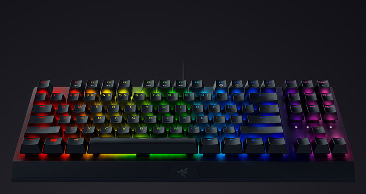 Razer BlackWidow V3 TKL Keyboard - Green Switches - Best Deal