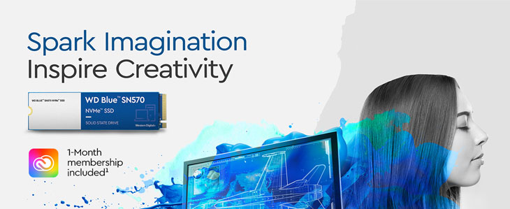 WD Blue SN570 1TB NVMe SSD - Best Deal - South Africa | Evetech
